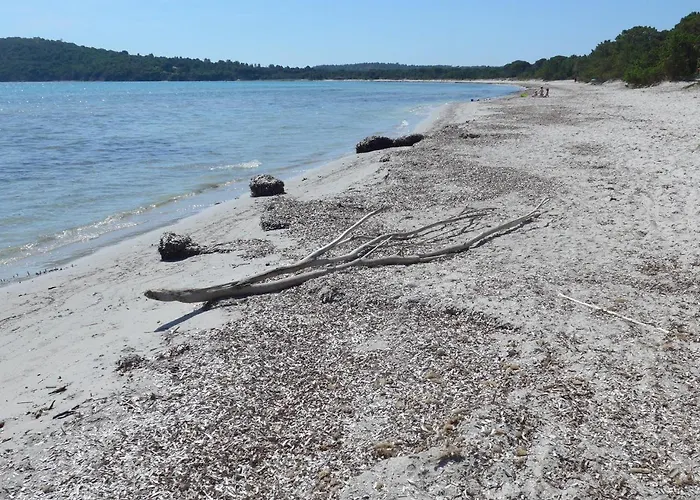 Апартаменты Luna Сотта